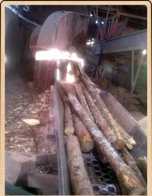 Astilladora Riojana maderas para fábricas de tableros Astilladora Riojana maderas para fábricas de tableros